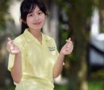 内容整理项目